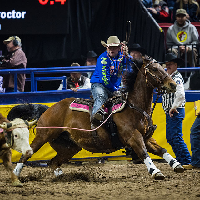 Coleman Proctor team roping on a horse at the National Finals Rodeo (NFR).